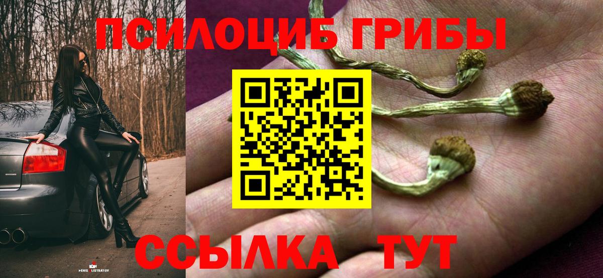 Клин  Псилоцибиновые грибы Magic Shrooms  Вход с VPN 