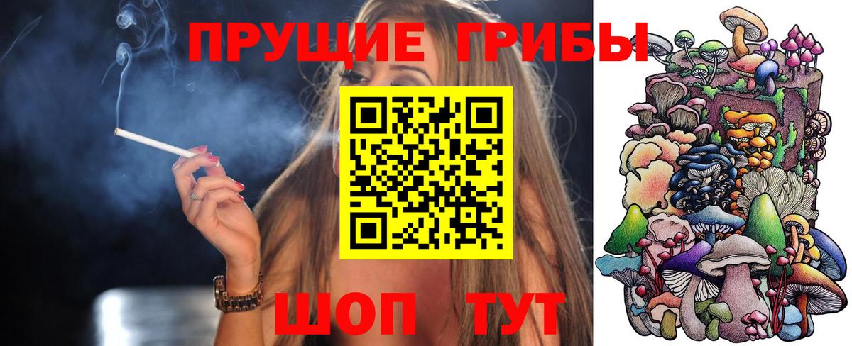 Псилоцибиновые грибы прущие грибы Клин